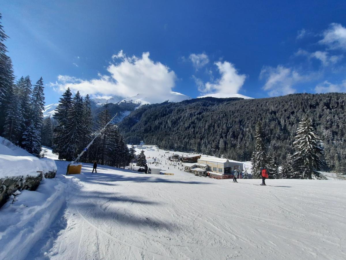 Apartment In Aspen Golf Bansko Esterno foto